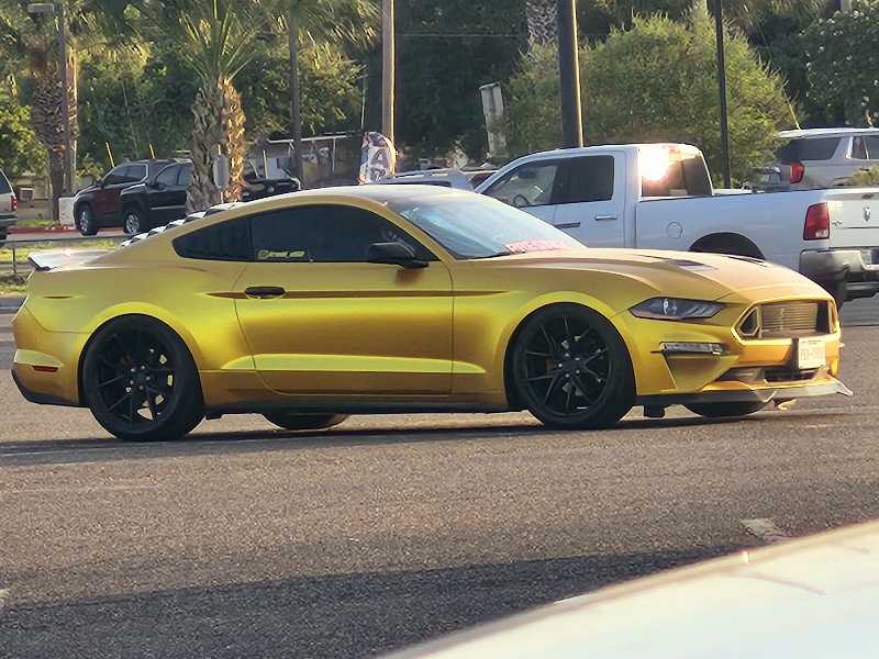 Ford Mustang (2018) spotted in Donna, United States