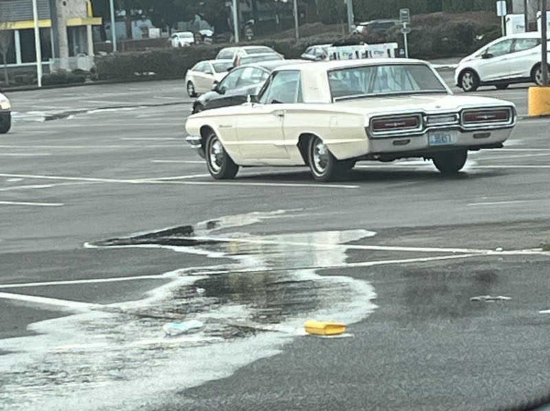 Oldsmobile Dynamic 88 spotted in Seattle