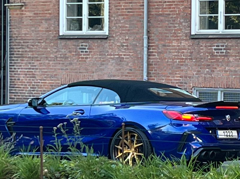 BMW Z4 M40i (2021) spotted in Copenhagen, Denmark
