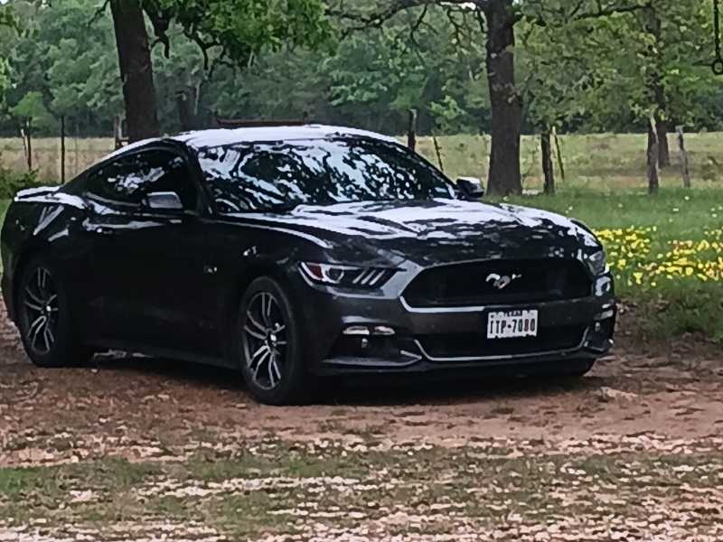 Ford Mustang GT spotted in Gonzales