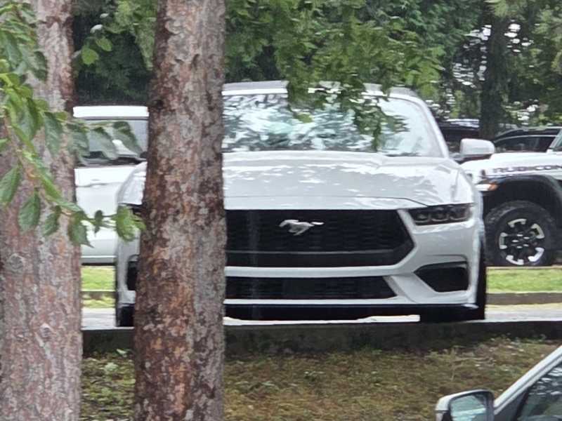 Ford Mustang (2024) spotted in Wisconsin Rapids, United States