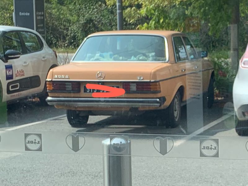 Mercedes-Benz 190E spotted in Bazas