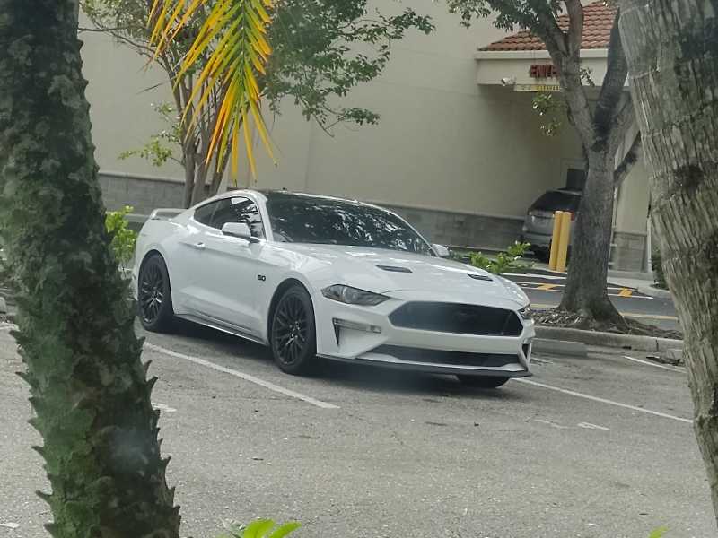 Ford Mustang (2020) spotted in Fort Lauderdale, United States