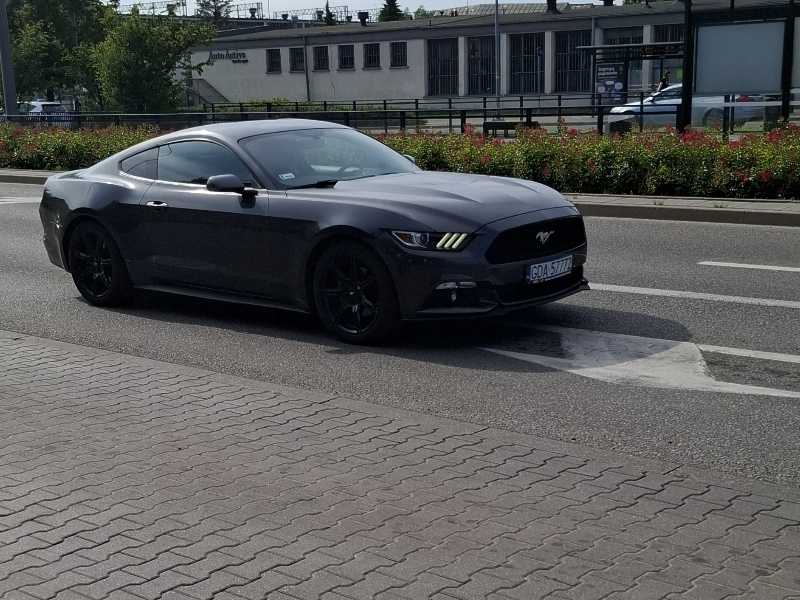 Ford Mustang (2015) spotted in Gdańsk, Poland