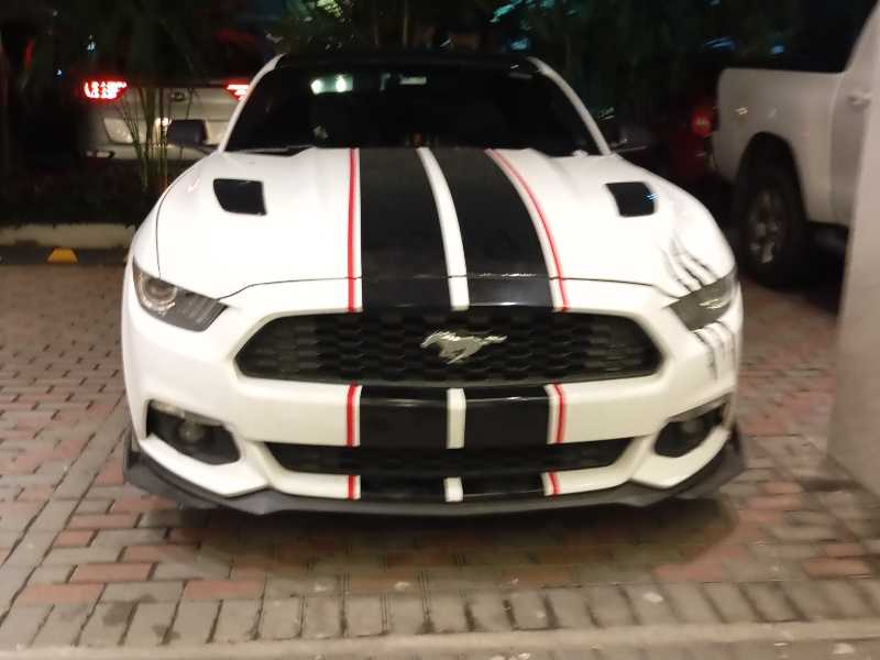 Ford Mustang spotted in Panama City
