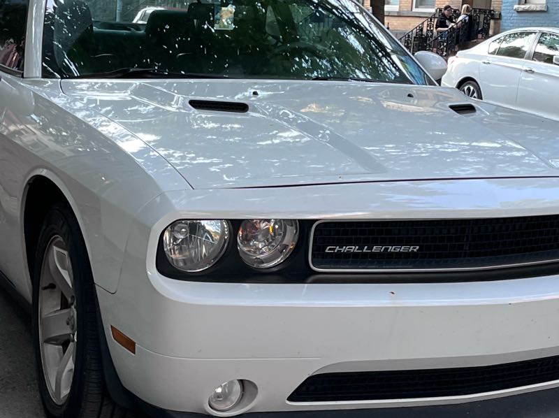 Dodge Challenger spotted in Albany