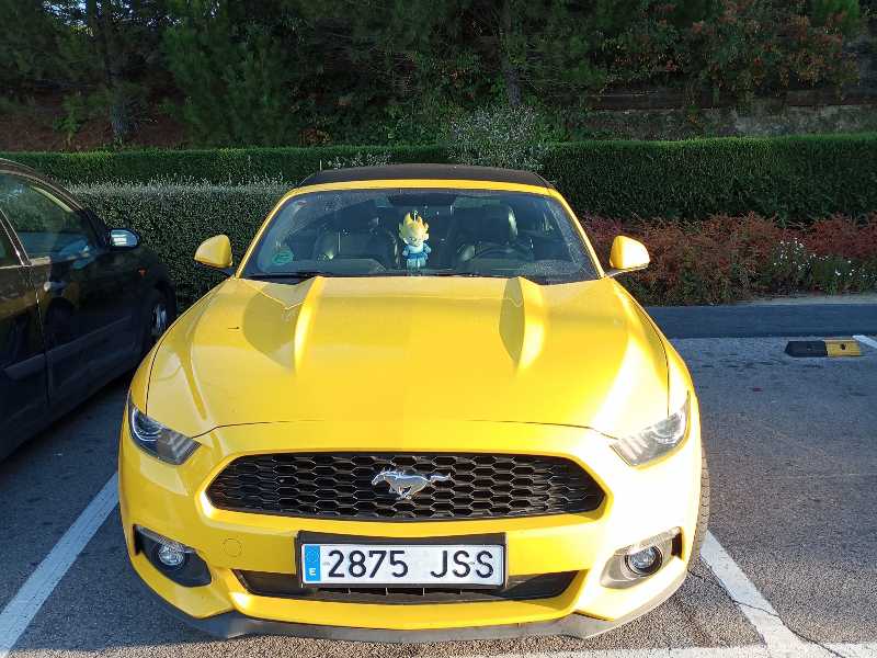 Ford Mustang (2015) spotted in Las Rozas de Madrid, Spain