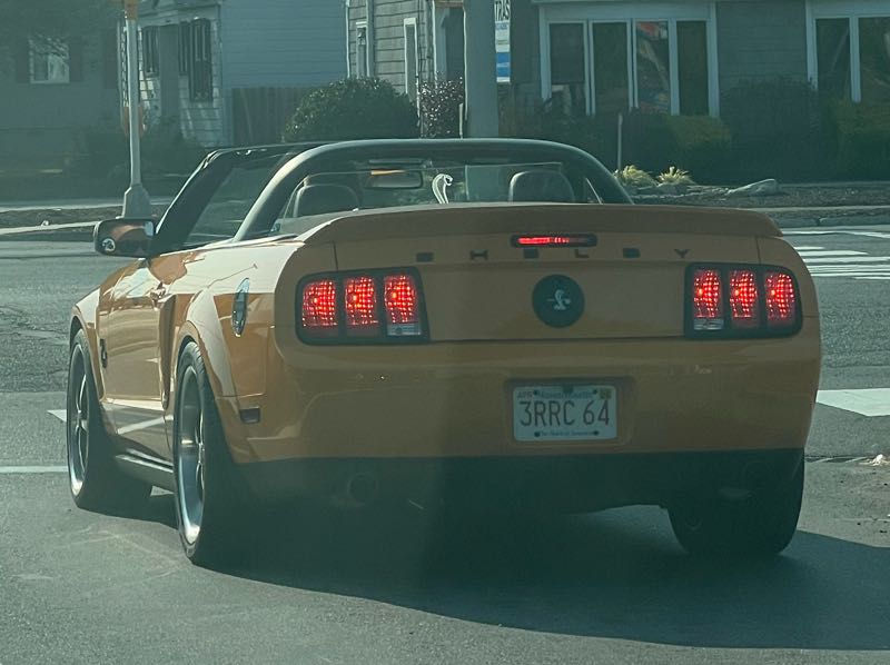 Ford Shelby GT500 spotted in Chicopee