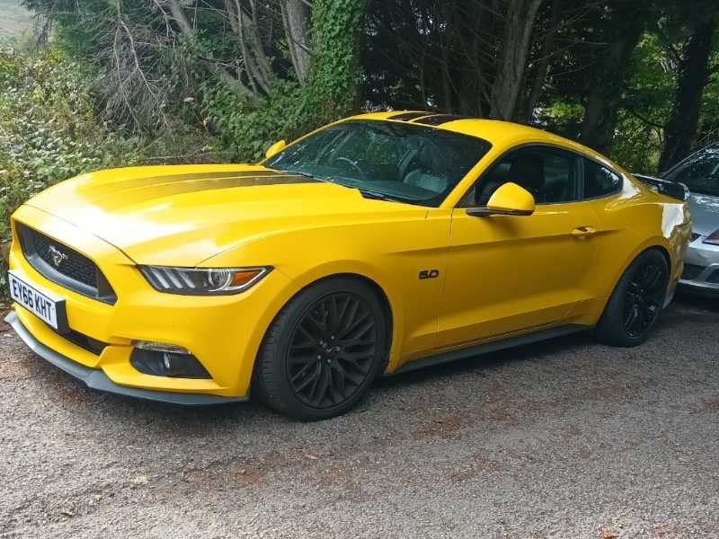 Ford Mustang spotted in Newport