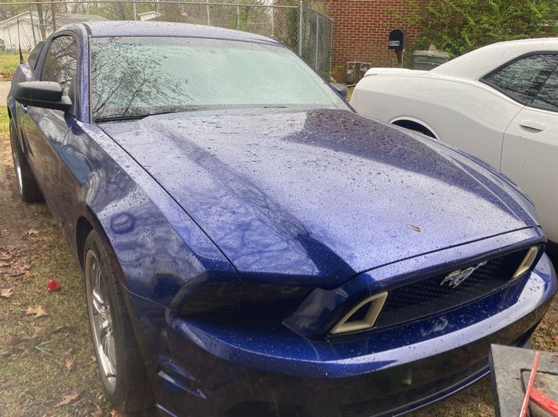 Ford Mustang spotted in Ripley