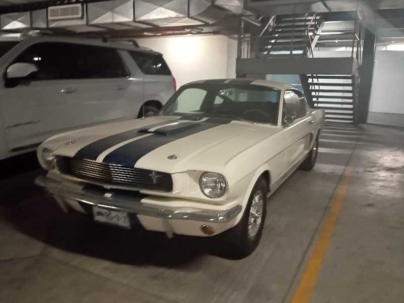 Ford Mustang spotted in Guadalajara