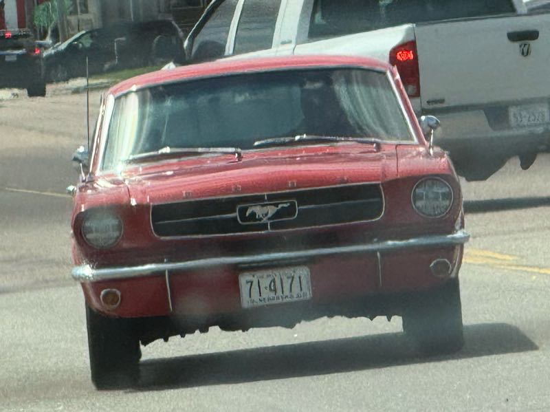 Ford Mustang spotted in Norfolk