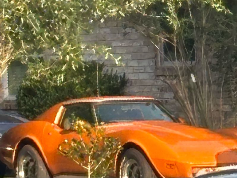 Chevrolet Corvette (1979) spotted in Houston, United States