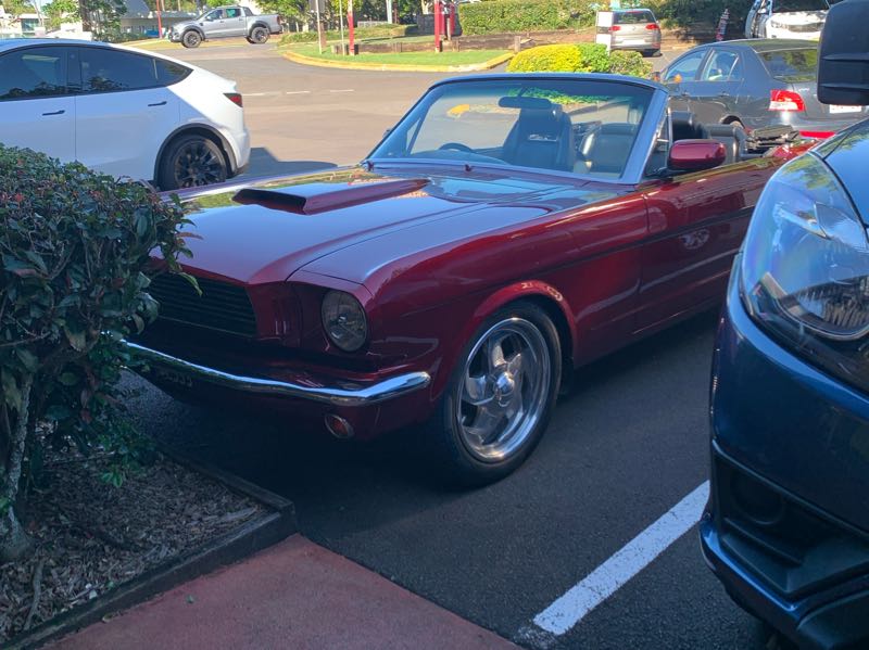 Ford Mustang (1966) spotted in Sunshine Coast, Australia