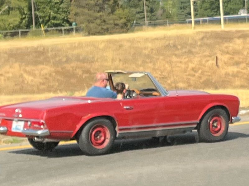 Mercedes-Benz 230 SL spotted in Laurel