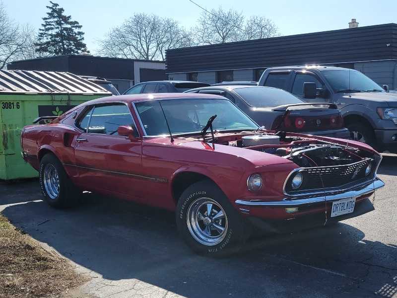 Ford Mustang spotted in Leamington