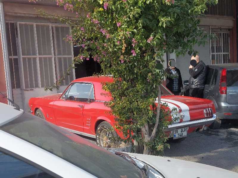 Ford Mustang (1965) spotted in İzmir, Turkey