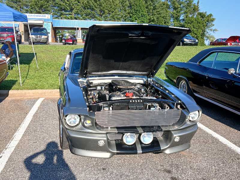 Ford Mustang spotted in Taylorsville