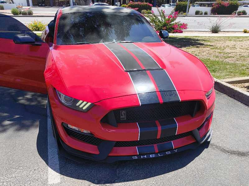 Ford Mustang Shelby GT350 spotted in Mesa