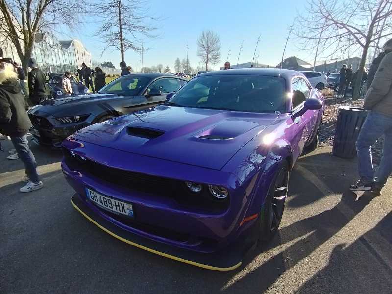 Dodge Challenger spotted in Arras