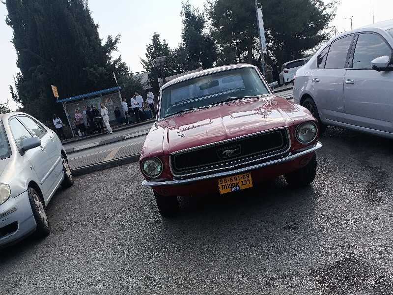Ford Mustang (1967) spotted in Midreshet Ben-Gurion, Israel