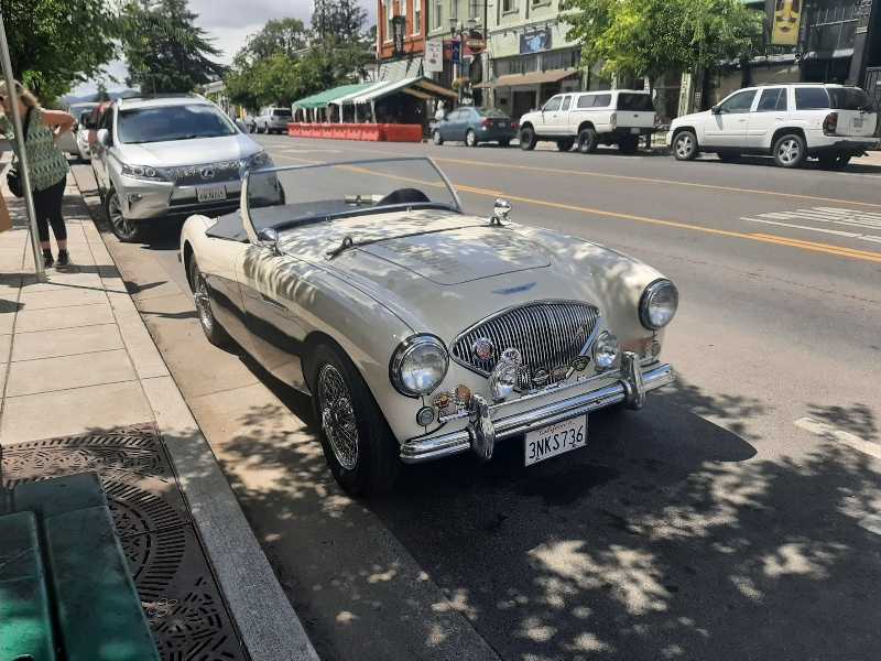 Austin Healey 3000 spotted in Lakeport