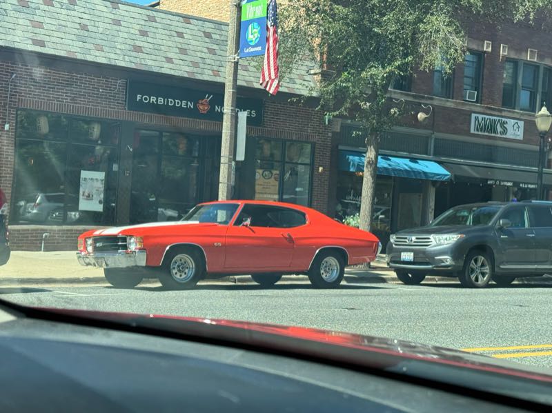 Chevrolet Chevelle SS (1970) spotted in Hoxud County, China