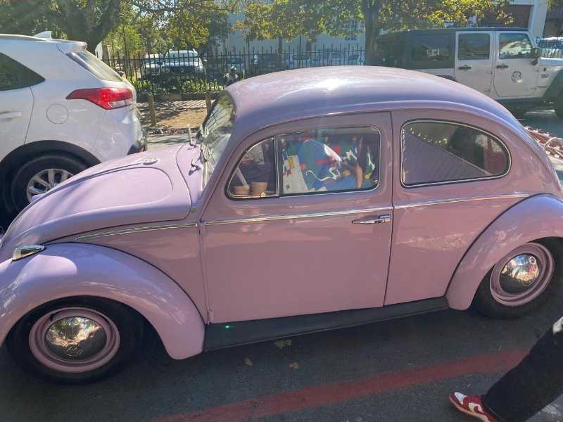 Volkswagen Beetle spotted in Stellenbosch