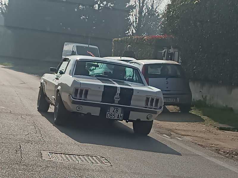 Ford Mustang (1967) spotted in Verona, Italy
