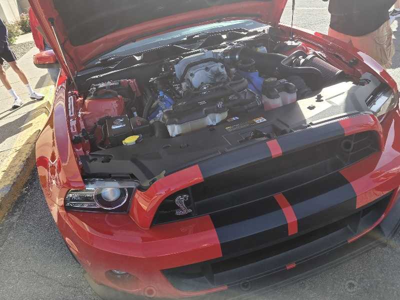 Ford Shelby GT500 (2013) spotted in Buffalo, United States