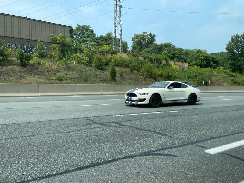 Ford Mustang Shelby GT350 spotted in Waltham
