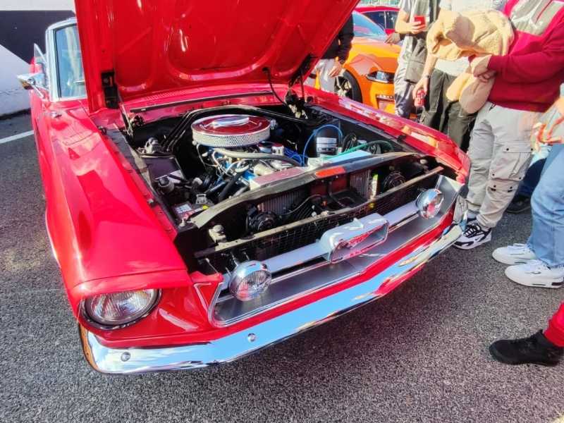 Ford Mustang (1967) spotted in Madrid, Spain