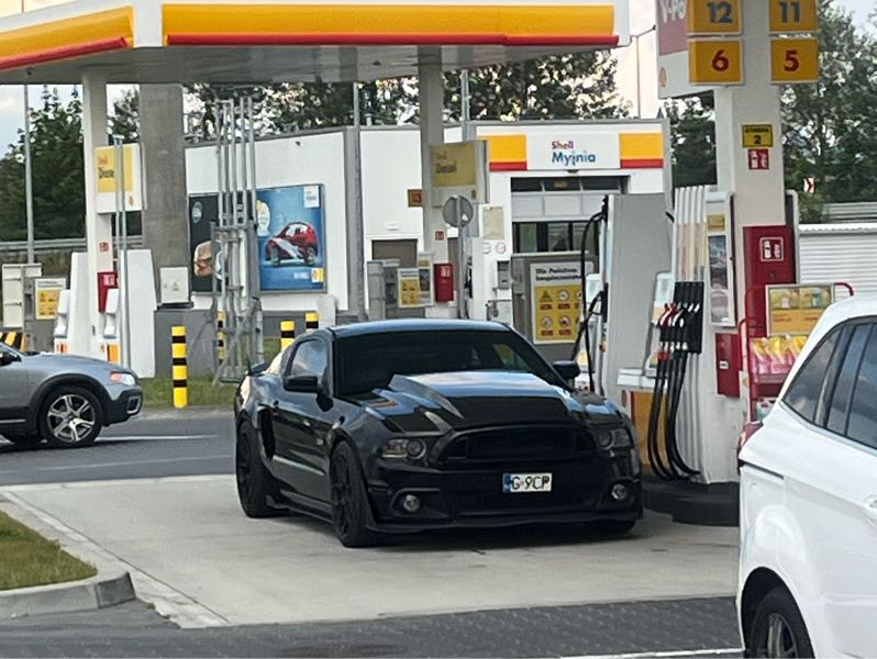 Ford Mustang Shelby GT500 spotted in Grudziądz