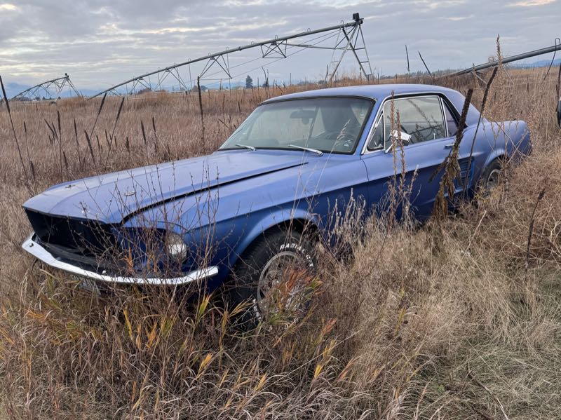 Ford Mustang spotted in Spokane Valley