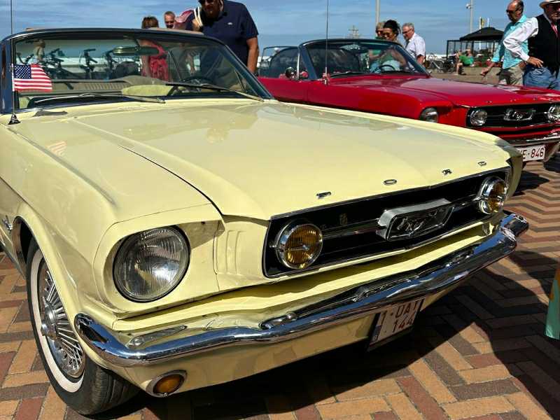 Ford Mustang (1966) spotted in Brugge, Belgium