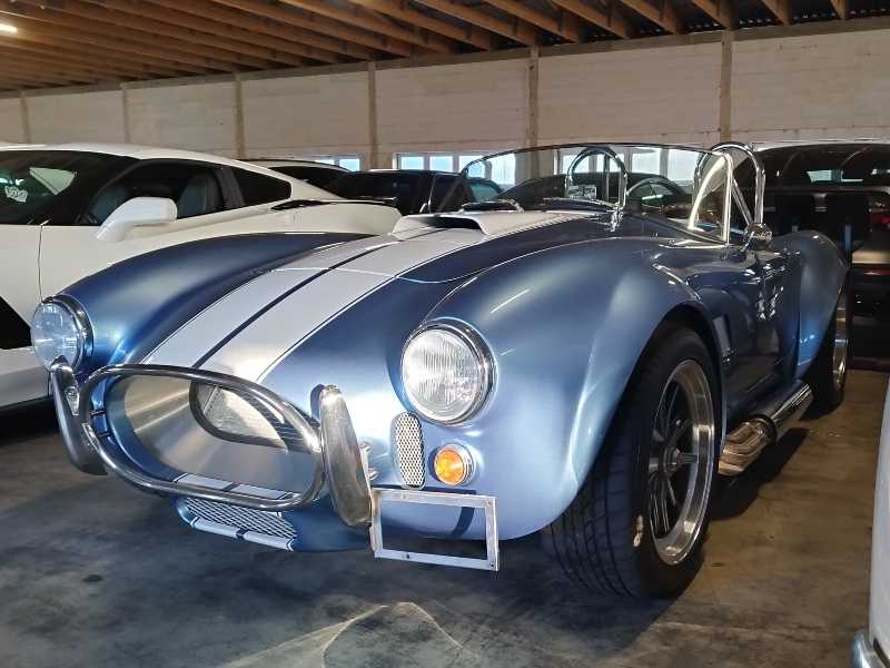 Shelby Cobra spotted in Vechta