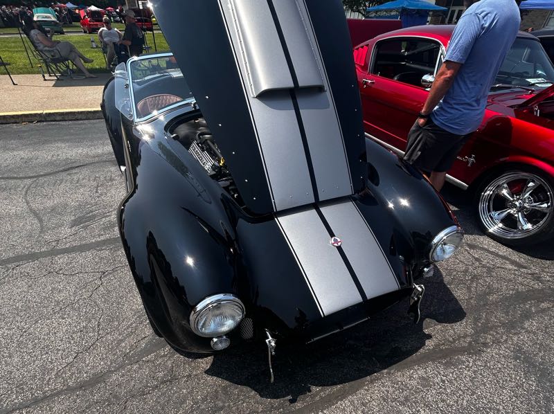 Shelby Cobra spotted in Alden